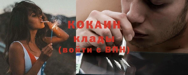 прущие грибы Балабаново
