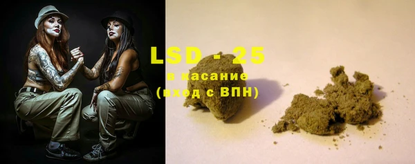 прущие грибы Балабаново