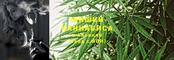 прущие грибы Балабаново