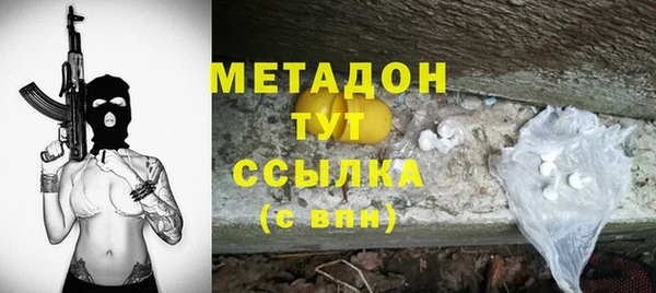 прущие грибы Балабаново