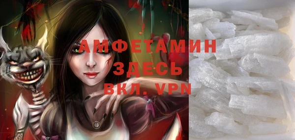 прущие грибы Балабаново