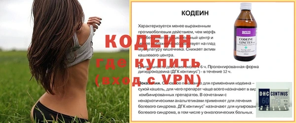 прущие грибы Балабаново