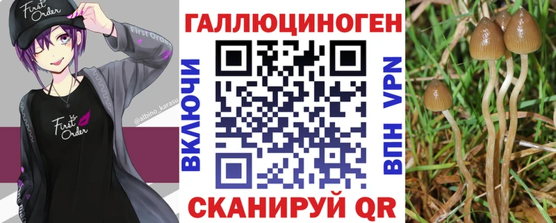 KRAKEN рабочий сайт  где купить наркотик  Верхоянск  Галлюциногенные грибы мухоморы 